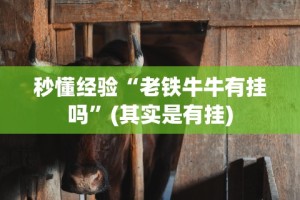秒懂经验“老铁牛牛有挂吗”(其实是有挂)