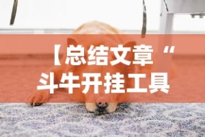 【总结文章“斗牛开挂工具哪个好用”最新辅助详细教程
