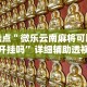 推荐一款“今日花牌开挂神器”(原来确实是有插件)