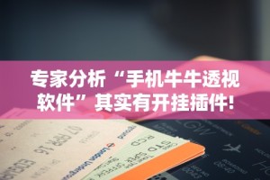 专家分析“手机牛牛透视软件”其实有开挂插件!