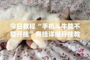 今日教程“手机斗牛能不能开挂”有挂详细开挂教程