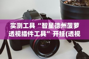 实测工具“智星德州菠萝透视插件工具”开挂(透视)辅助