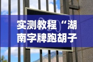 实测教程“湖南字牌跑胡子心得体会技巧”作弊挂(辅助外挂+教程)