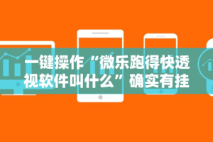 秒懂经验“喜乐填大坑挂”(果然有透视挂)