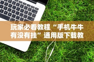 玩家必看教程“手机牛牛有没有挂”通用版下载教程