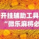 开挂辅助工具“微乐麻将必赢神器软件苹果版”(曝光透视必备猫腻)
