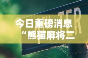 今日重磅消息“熊猫麻将二人怎么开挂!详细开挂教程