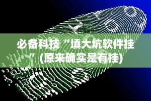 必备科技“填大坑软件挂”(原来确实是有挂)
