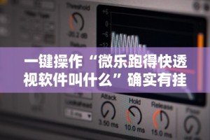 一键操作“微乐跑得快透视软件叫什么”确实有挂