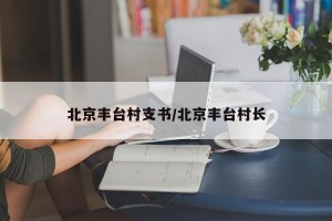 北京丰台村支书/北京丰台村长