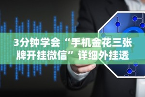 专家分析“常德跑胡子的技巧口诀图解”附开挂脚本