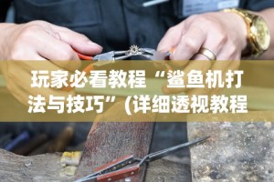 玩家必看教程“鲨鱼机打法与技巧”(详细透视教程)
