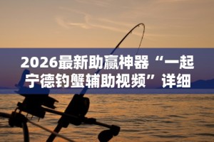 2026最新助赢神器“一起宁德钓蟹辅助视频”详细分享装挂步骤