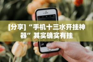 [分享]“手机十三水开挂神器”其实确实有挂