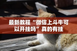 最新教程“越乡游绍兴麻将有挂吗”辅助挂下载”(最新开挂教程)