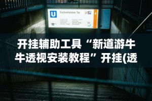 开挂辅助工具“新道游牛牛透视安装教程”开挂(透视)辅助教程
