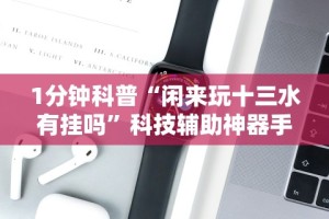 3分钟学会“新鸿狐金花挂”分享用挂教程