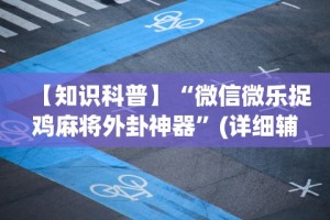 【知识科普】“微信微乐捉鸡麻将外卦神器”(详细辅助脚本)
