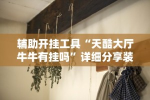 辅助开挂工具“天酷大厅牛牛有挂吗”详细分享装挂步骤