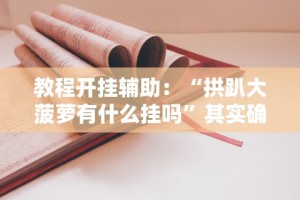 教程开挂辅助：“拱趴大菠萝有什么挂吗”其实确实有挂