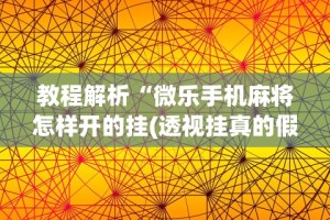 热点推荐“微乐陕西三带辅助器怎么安装”揭秘透视辅助万能挂