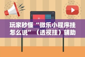 玩家秒懂“微乐小程序挂怎么说”（透视挂）辅助神器教程