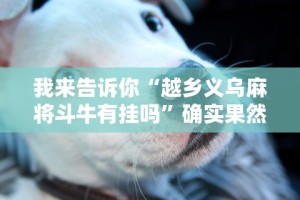我来告诉你“越乡义乌麻将斗牛有挂吗”确实果然有挂