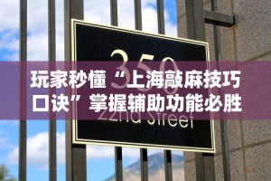 玩家秒懂“上海敲麻技巧口诀”掌握辅助功能必胜规则