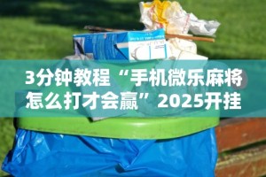 3分钟教程“手机微乐麻将怎么打才会赢”2025开挂教程步骤