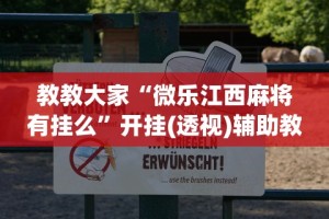 教教大家“微乐江西麻将有挂么”开挂(透视)辅助教程