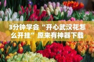 3分钟学会“开心武汉花怎么开挂”原来有神器下载！