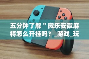五分钟了解＂微乐安徽麻将怎么开挂吗？_游戏_玩家_工具