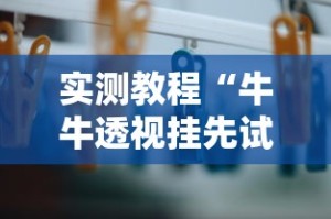 实测辅助“莆仙吹牛有没防作弊”(曝光透视必备猫腻)