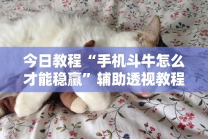 今日教程“手机斗牛怎么才能稳赢”辅助透视教程
