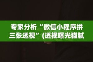 专家分析“微信小程序拼三张透视”(透视曝光猫腻)