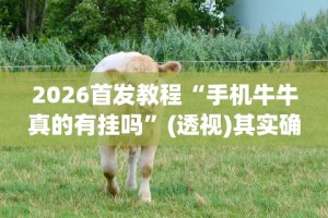 今日必看教程“微信开心泉州麻将外卦神器下载安装”开挂神器{透视辅助}全揭秘