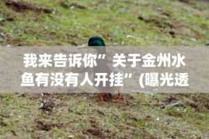 五分钟了解微乐陕西三代如何拿好牌”可以开挂作弊