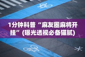 1分钟科普“麻友圈麻将开挂”(曝光透视必备猫腻)