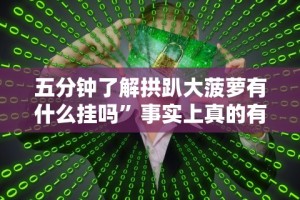五分钟了解拱趴大菠萝有什么挂吗”事实上真的有挂