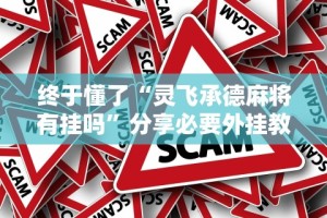 终于懂了“灵飞承德麻将有挂吗”分享必要外挂教程