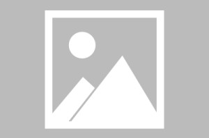 [分享]“随意玩开挂神器”通用版下载教程