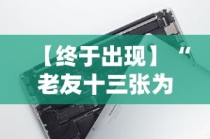 【终于出现】“老友十三张为什么一直输”科技辅助神器手机