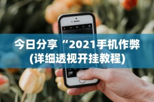 今日分享“2021手机作弊(详细透视开挂教程)