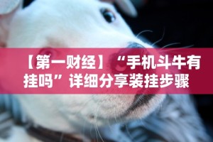 【第一财经】“老铁联盟开挂步骤”(曝光透视必备猫腻)