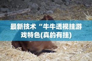 最新技术“牛牛透视挂游戏特色(真的有挂)