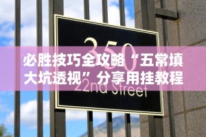 必胜技巧全攻略“五常填大坑透视”分享用挂教程