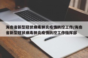 海南省新型冠状病毒肺炎疫情防控工作/海南省新型冠状病毒肺炎疫情防控工作指挥部