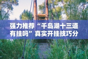 玩家实测“鸿运十三张为什么老是输”开挂(透视)辅助神器
