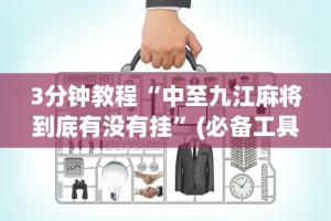 3分钟教程“中至九江麻将到底有没有挂”(必备工具)辅助教学