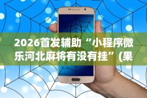 2026首发辅助“小程序微乐河北麻将有没有挂”(果然有透视挂)